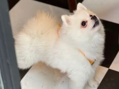 -工页咖啡X COFFEE(龙东路店)