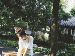 -成都市活水公园