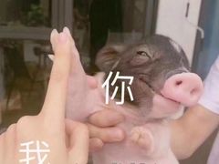 -九锅一堂酸菜鱼(新南凯德直营店)