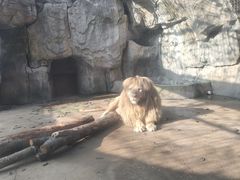 -南昌动物园