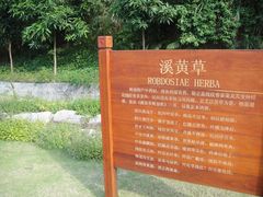 神农草堂-广州神农草堂中医药博物馆