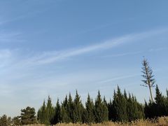 -汉长安城未央宫国家考古遗址公园