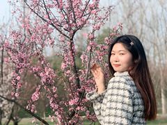 -蜀冈西峰生态公园