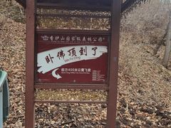 -香炉山国家森林公园