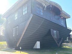 -金山农民画村-枫泾波兰倒置屋