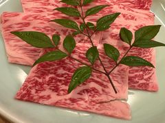 -然锅料理