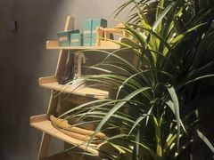 -施奈儿.洗头頭療.按摩SPA.采耳(上梅林店)