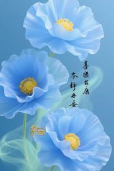 -克丽缇娜