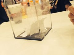 -CoCo都可(虹口龙之梦店)
