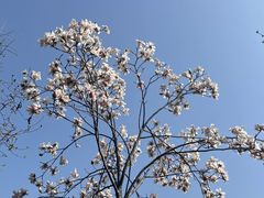 -沙河三洞古桥公园