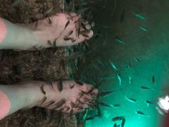 -宝丽金大酒店·洗浴中心