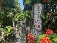 -广州市流溪河国家森林公园