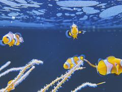 -沈阳海洋探索中心