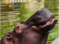 -上海野生动物园