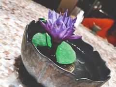 -临江宴(陆家嘴店)