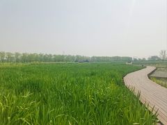 -永定河休闲森林公园