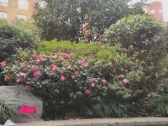 -杭州第一世界大酒店·云曼温泉