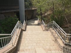 -白水寺森林公园
