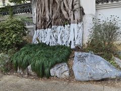 -墨池公园