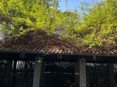 -清湖文化公园