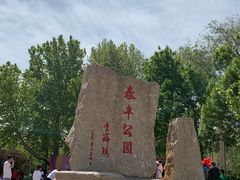 -泰丰公园