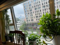 -青青一生美皮肤管理