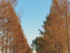-嘉北郊野公园