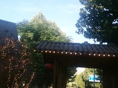 -后湖小院·乡野田园菜