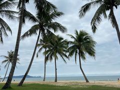 -海南清水湾莱佛士酒店