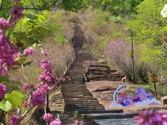 -天台山赤城山景区