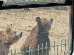 -秦皇岛野生动物园