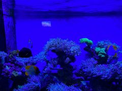 -海合安成都极地海洋公园