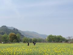 -径山花海