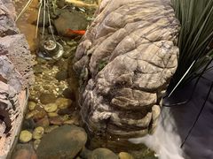 -兰木肆·云南菜(龙湖U城天街店)