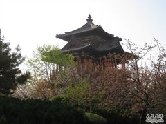 -西安青龙寺遗址景区