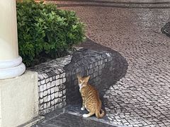 -雅憩花园餐厅