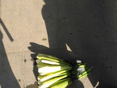 -锦江中华村农家乐饭庄