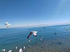 -青海湖二郎剑景区