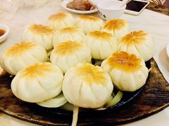 -鸽鸟轩(石岐店)