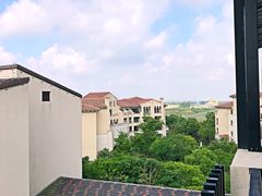 远眺大桥-上海崇明金茂凯悦酒店