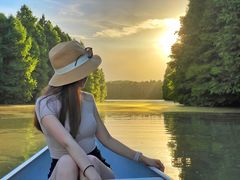 -上海海湾国家森林公园