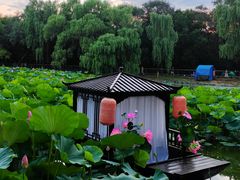 -北陵公园