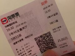 -华美国际影城(旧宫永辉店)