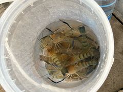 -粮心小农·大头虾亲子生态园(长发店)