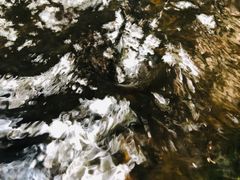 -山王坪喀斯特国家生态公园