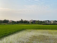 -美亭美榔姐妹塔