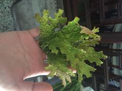 益恒饭店-白家寨子·山野白族菜(古城总店)