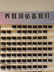 -AI艾耳·专业手工耳洞·穿孔美学馆
