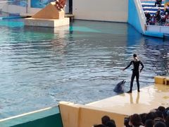 -秦皇岛乐岛海洋王国