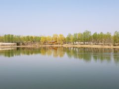 -东郊湿地公园